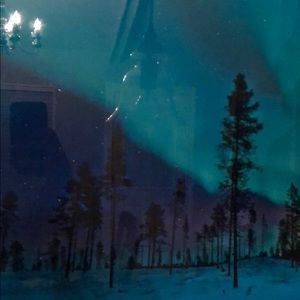 Meet your Posher, Trevor